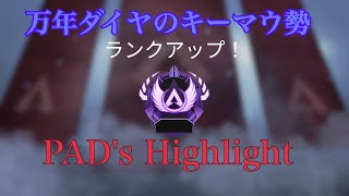 【Apex】キーマウ勢がPAD使ってみたら...  【Bluma to Lunch】