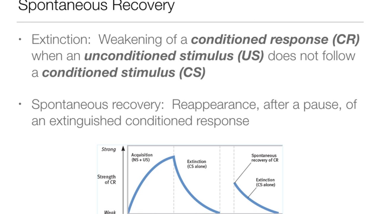 Intro to Psych: 6.1 Learning - Classical Conditioning