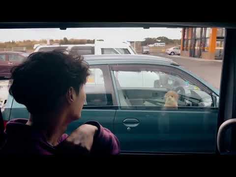 EXO Lay Zhang Yixing asking a dog out in perfect English . King of English calling the dog baby.