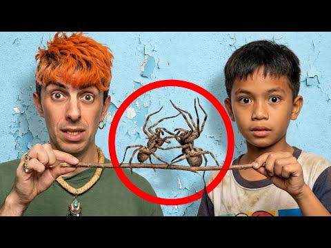 I Found Why Filipinos Fight Spiders!