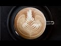  Creatista Plus - How to Do Latte Art