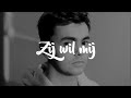 FLEMMING - Zij Wil Mij (Lyrics Video)