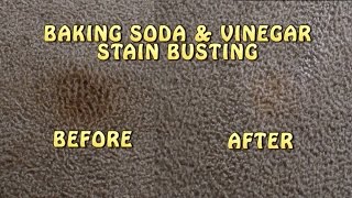 Baking Soda & Vinegar Carpet Stain Busting!!!