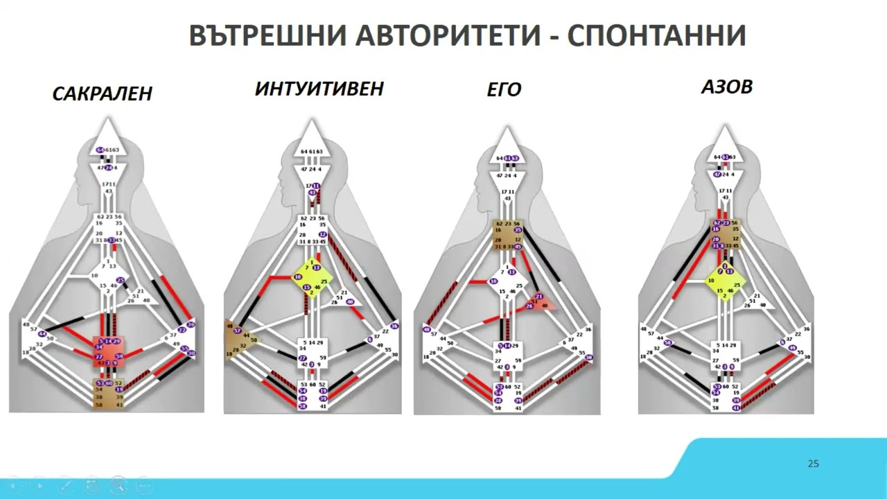 19.11.2024 - ВЪТРЕШНИ АВТОРИТЕТИ
