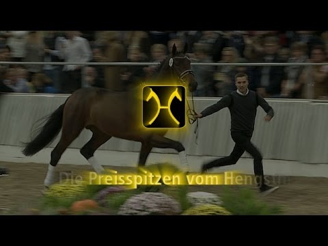 Hannoveraner Hengstkörung 2015 - Preisspitzen/Top priced Stallions