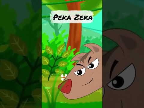 🐰🥕Peka Zeka🐇