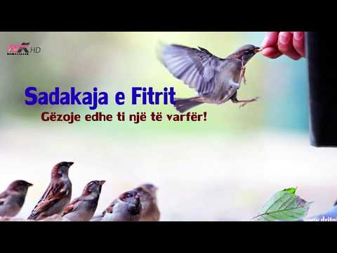 30. Copëza urtësie nga Kurani - Zekati dhe Sadakaja