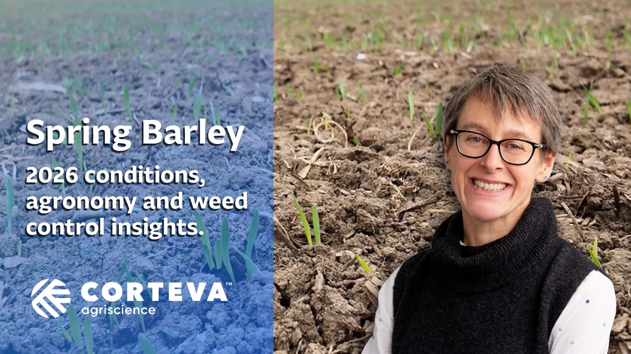 Quick takeaways from a spring barley field walk with Corteva's Sally Harris