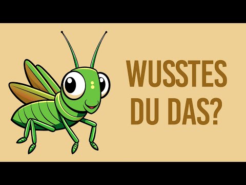 Tiere für Kinder- Was ist eine Heuschrecke? #viralvideo #instagram #kindervideo #funny