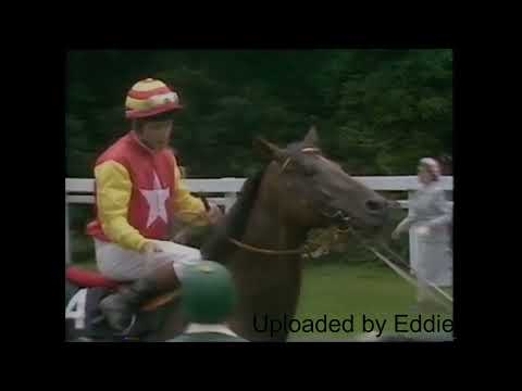1988 King George Vi And Queen Elizabeth II Diamond Stakes