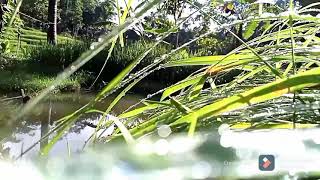 Download lagu Surah Al-fatihah, (ismail Annuri) mp3