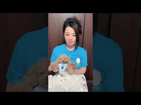 企画構想学科 #emmyWash_Jingle 皐月エミー（マイネム 広報 兼 エミープロジェクト親善大使）より
