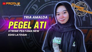 Download lagu PEGEL ATI - TRIA AMALDA // XTREME PRATAMA NEW COVER 2024 mp3 Download lagu PEGEL ATI - TRIA AMALDA // XTREME PRATAMA NEW COVER 2024 mp3