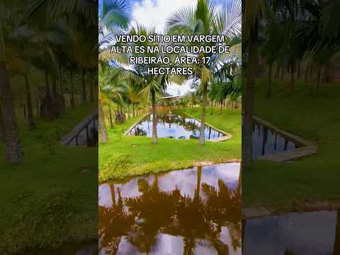 VENDO SÍTIO EM VARGEM ALTA ES NA LOCALIDADE DE RIBEIRÃO, ÁREA: 17 HECTARES ( 172.360,00 M2 ) #sitio