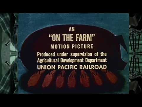 Live From Daryl s House    I m Alright, Kenny Loggins 'On the Farm'