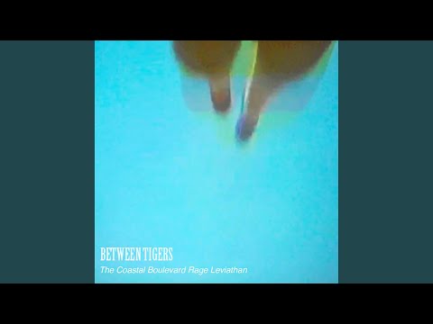 White House - Casablanca