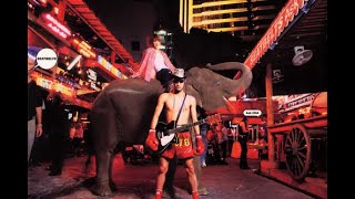 Is it Real? - The Seatbelts - Ask DNA