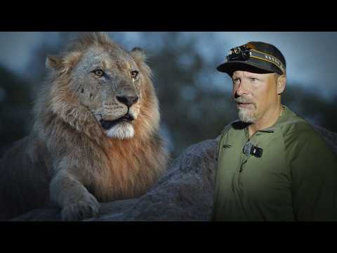 Remote Camping With Wild African Lions!