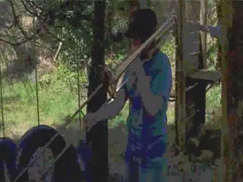 The Crazy Brass Machine- Victorian State Youth Brass Band - Bright 2009