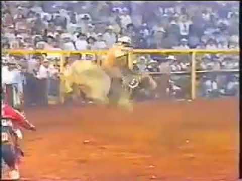 José edson vs coióte