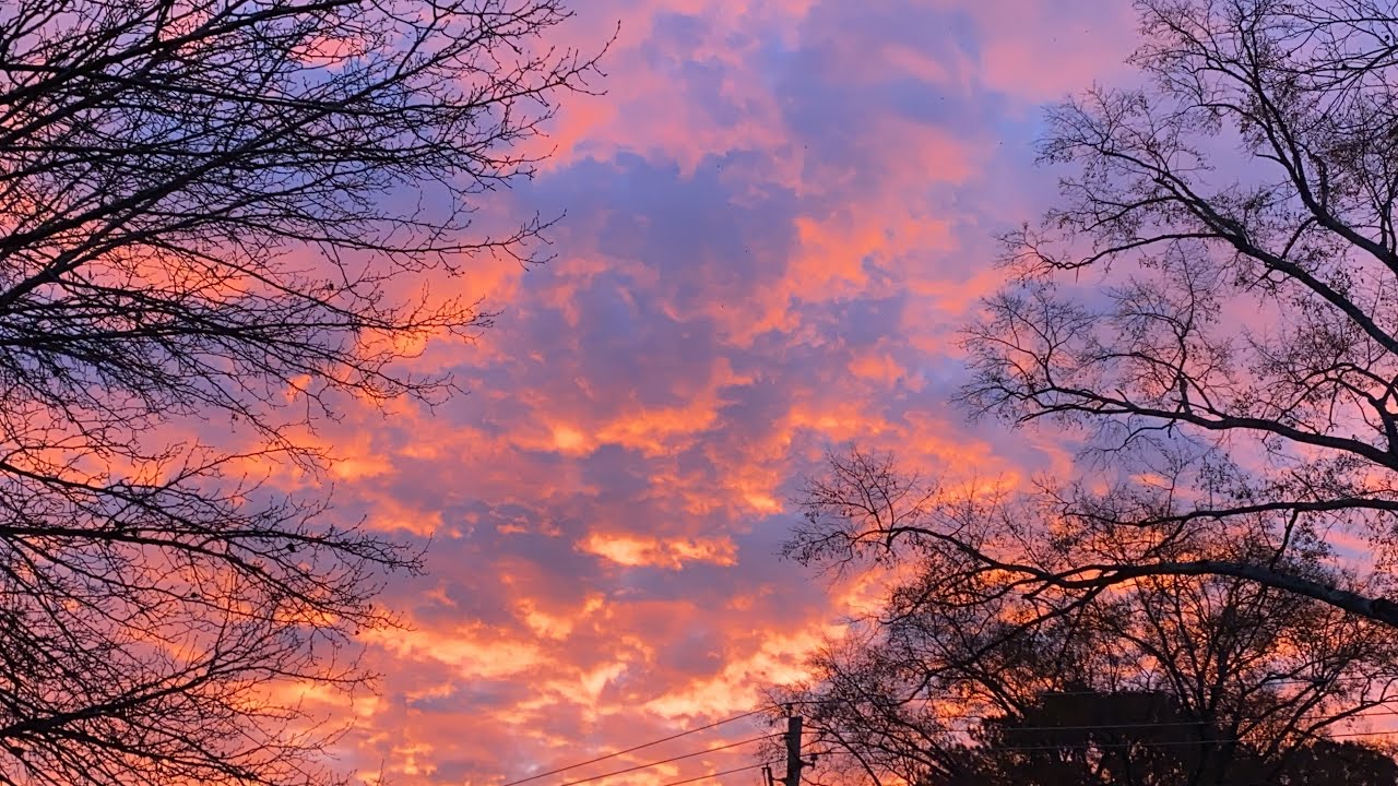 1SE - One Second Everyday 2023