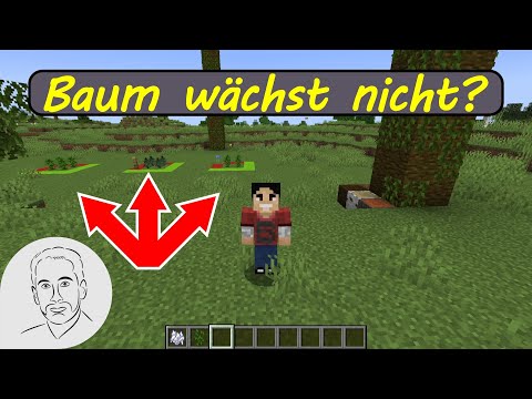 Riesenfichte & Riesen-Tropenbaum wachsen nicht - So geht Minecraft #lösung #wissen