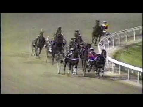 Village Kid - stakes record - Lord Mayors Cup