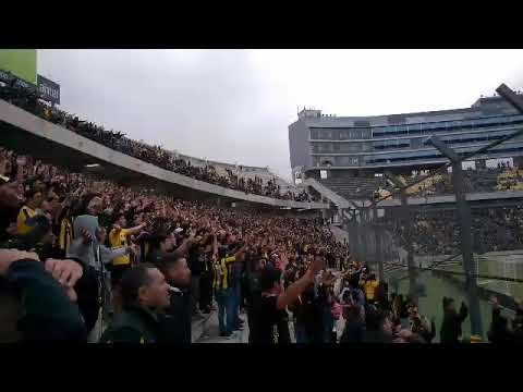 "Hinchada De Peñarol Vs. DefensORTO / Buen Audio / Campeon Del Siglo SIEMPRE FUIMOS MAS" Barra: Barra Amsterdam &bull; Club: Peñarol