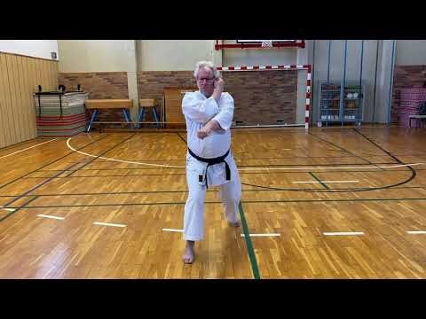 Taikyoku Shodan - Kata 9. Kyu