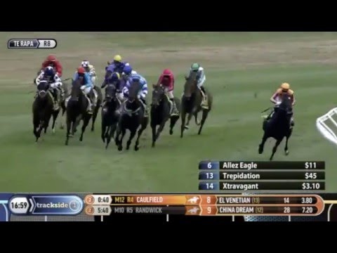 Xtravagant - SECOND Group 1 - NRM Sprint @ Waikato Racing Club 13/2/2016