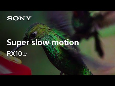 Sony | Cyber-shot | RX10 IV - Super slow motion for birding