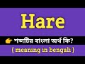 Hare Meaning in Bengali || Hare শব্দের বাংলা অর্থ কি? || Bengali Meaning Of Hare