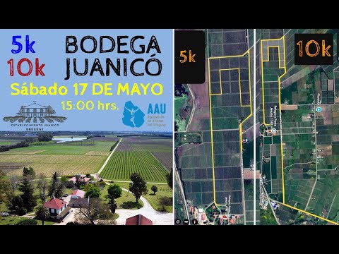 5k y 10k Bodega Juanicó (AAU -  Establecimiento Juanicó, Canelones, 17/may/2025): la previa