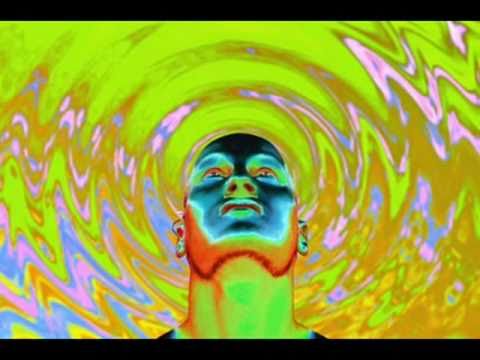 Gataplex Vs  Michele Adamson   Freedom