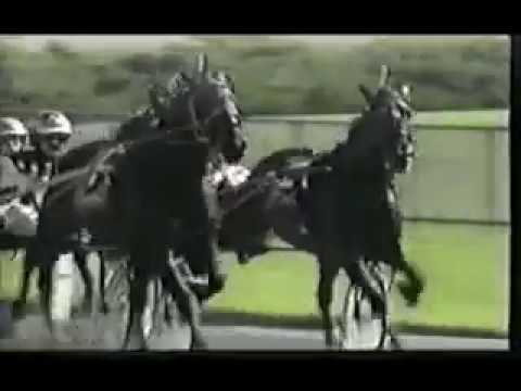 1994 Freehold Raceway PINE CHIP Breeders Crown Open Trot Track Record John Campbell