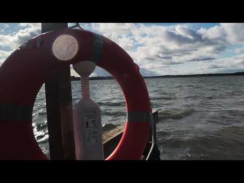 Metsähanhet, Woodland Geese (Official Music Video) - Maria Kalaniemi & Eero Grundström