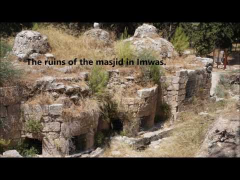 A Journey Through Palestine