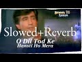 O Dil Tod Ke Hansti Ho Mera (Slowed+Reverb) Remix Old Bewafa Sad Song // Udit Narayan //