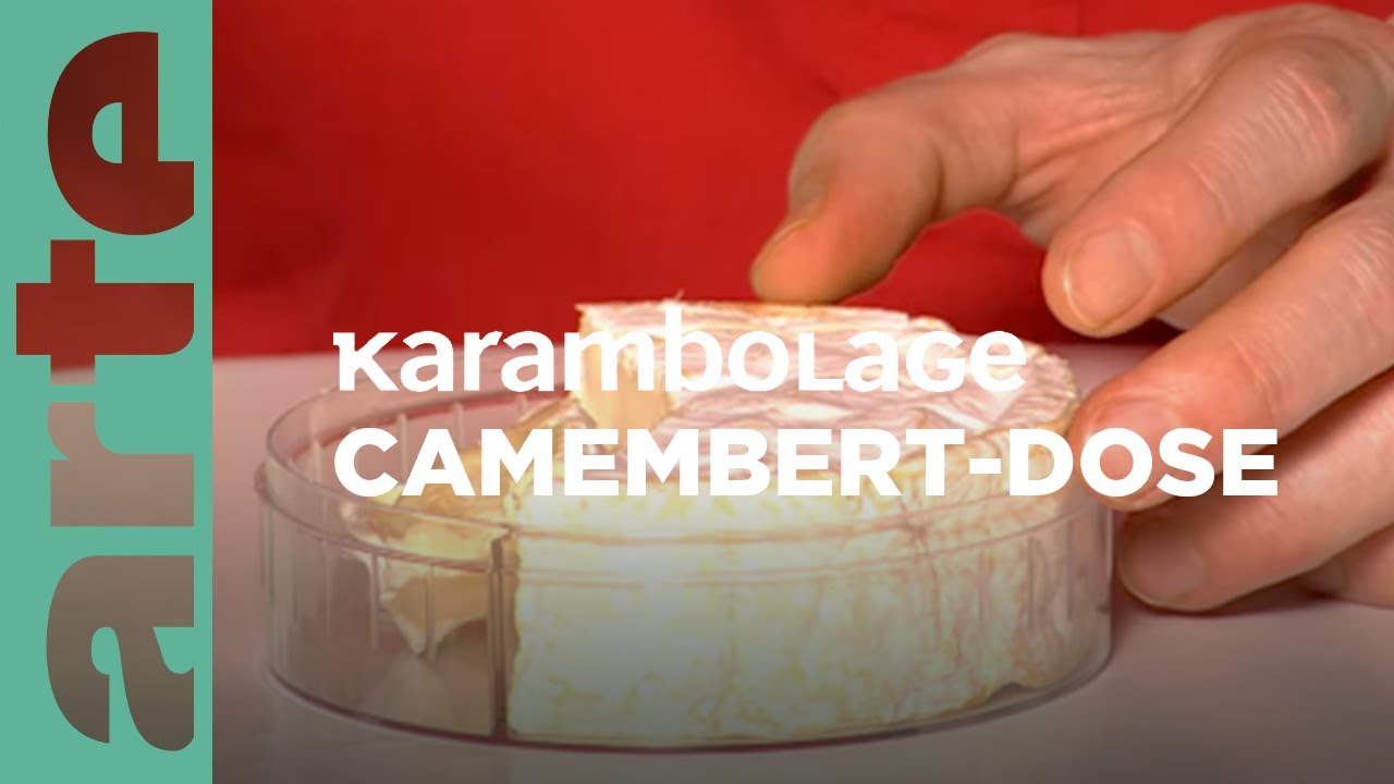 Die Camembert-Dose | Karambolage | ARTE Family