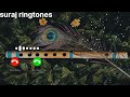New Ringtone Bansuri Dhun Bansuri Ringtone Ringtone Music Song Viralvideo Newringtone2024