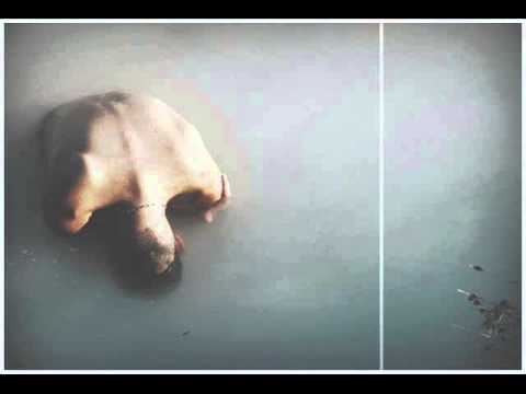 Valentin Stip - Nwia