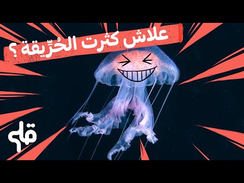 علاش كثرت الحُرِّيقة؟