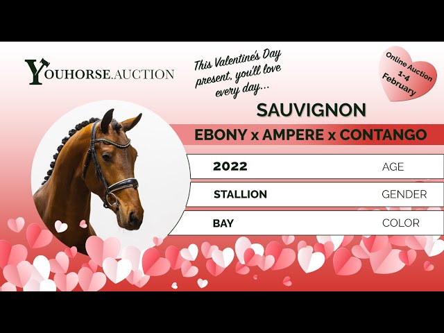 Sauvignon
