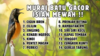 Download lagu 🔴 SADIS ISTIMEWA‼️MASTERAN MURAI BATU GACOR ISIAN MEWAH mp3 Download lagu 🔴 SADIS ISTIMEWA‼️MASTERAN MURAI BATU GACOR ISIAN MEWAH mp3