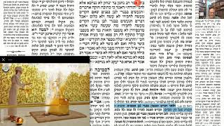 דף יומי מסכת זבחים דף מ Daf yomi Masechet Zevachim page 40  ע"י יוני גוטמן (שיעורי הדף היומי ב-20 דקות – מועבר ע"י ר' יוני גוטמן – לעילוי נשמת אביו ר' אלימלך צבי (צביקה) גוטמן ז"ל) - התמונה מוצגת ישירות מתוך אתר האינטרנט יוטיוב. זכויות היוצרים בתמונה שייכות ליוצרה. קישור קרדיט למקור התוכן נמצא בתוך דף הסרטון