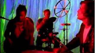 The Dave Howard Singers - All My Relatives Look The Same