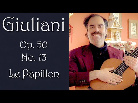 Mauro Giuliani - Op. 50 Le Papillon - No. 13 Allegro