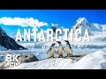 Antarctica 8K Majestic Icebergs Penguins And Arctic Silence