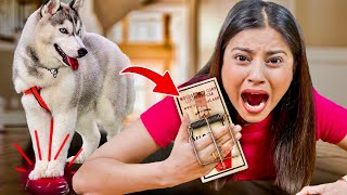 My DOG Controls my Life for 24 Hours Challenge �