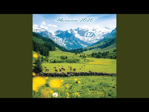 Tirol, ich komm aus dir